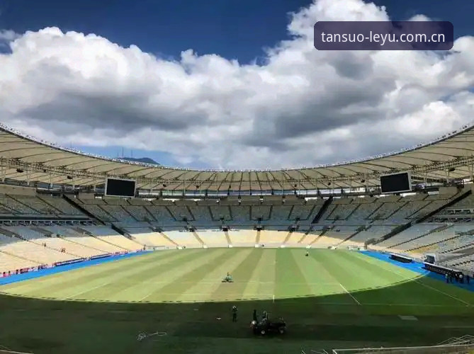老球迷手把手教你用乐鱼体育官网看透阿根廷那场2-0